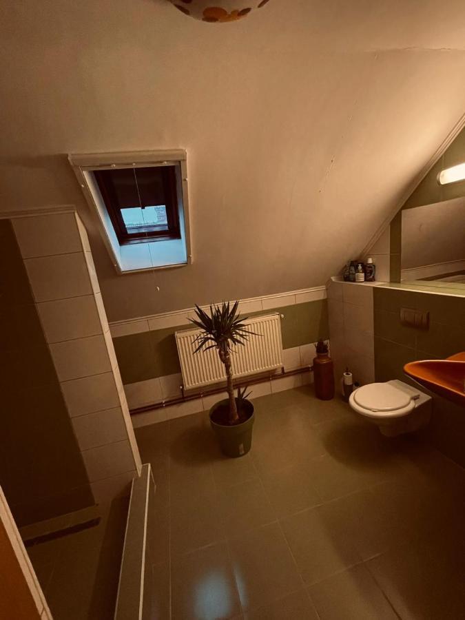 Casa Verde Foeni 外观 照片